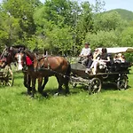 Holló Homestay szállás *